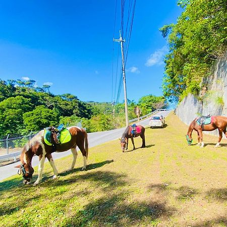 Vila Muumin Farm Nakijin Exteriér fotografie