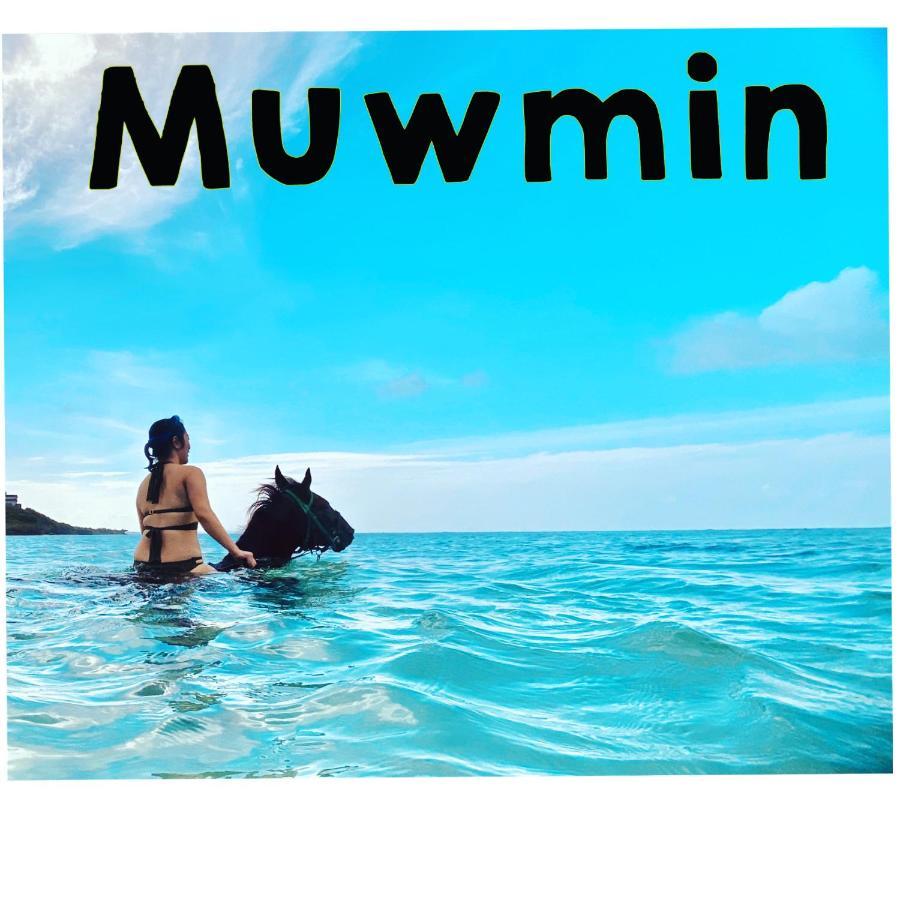 Vila Muumin Farm Nakijin Exteriér fotografie