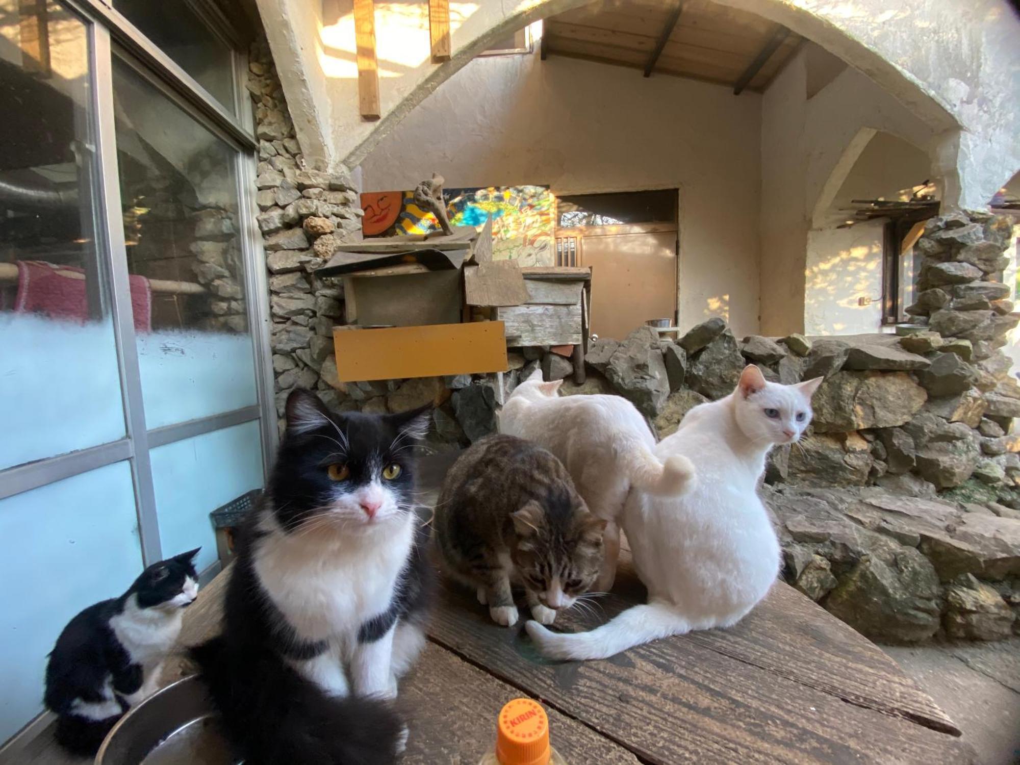 Vila Muumin Farm Nakijin Exteriér fotografie