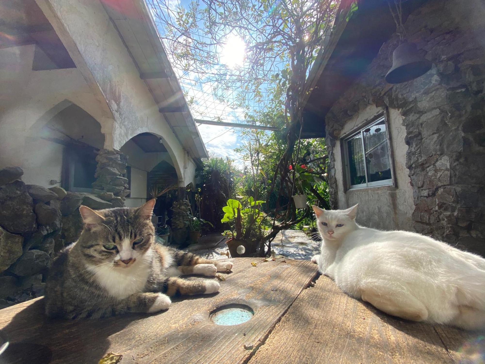 Vila Muumin Farm Nakijin Exteriér fotografie