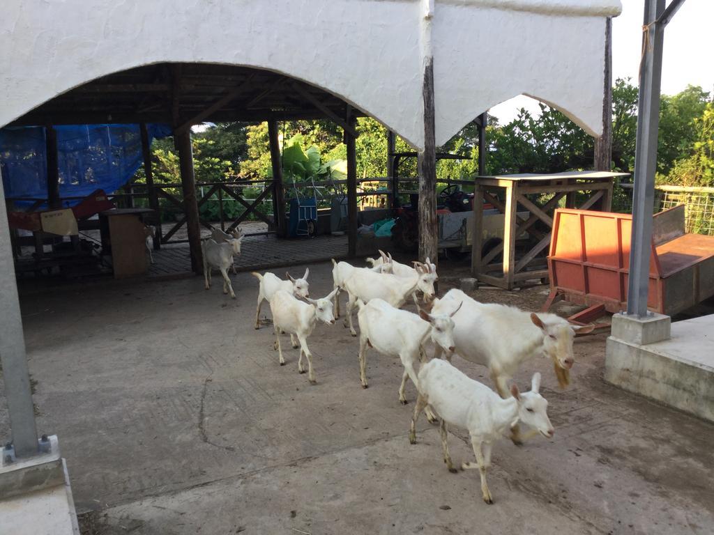 Vila Muumin Farm Nakijin Exteriér fotografie