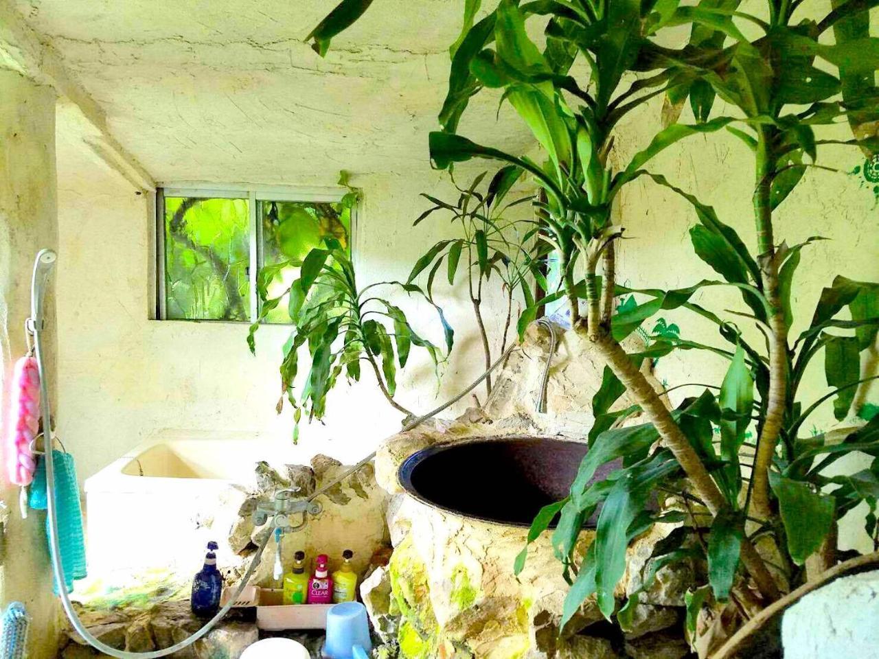 Vila Muumin Farm Nakijin Exteriér fotografie
