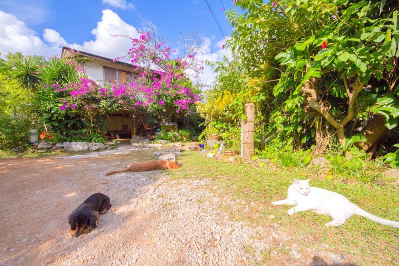 Vila Muumin Farm Nakijin Exteriér fotografie